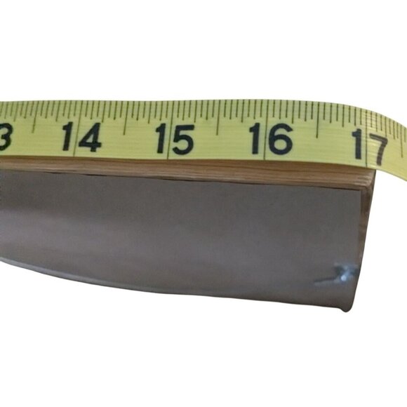 Lion Pastel Drawing by Priscilla P. Forster 5-14-02 Framed Wood Frame Glass - Picture 10 of 15